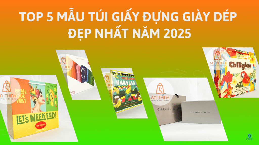 TOP 5 MẪU TÚI GIẤY ĐỰNG GIÀY DÉP ĐẸP NHẤT NĂM 2025