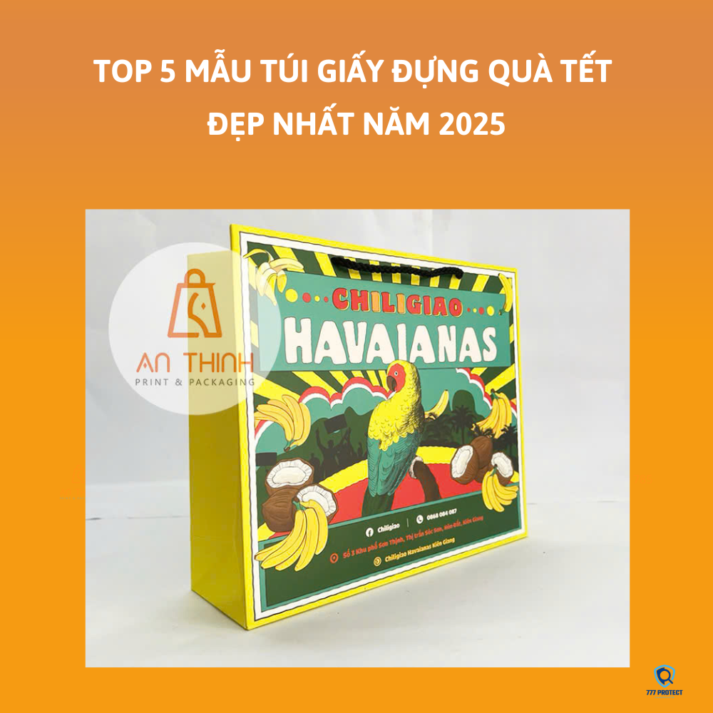 TÚI GIẤY ĐỰNG DÉP THỜI TRANG CHILIGIAO HAVAIANAS