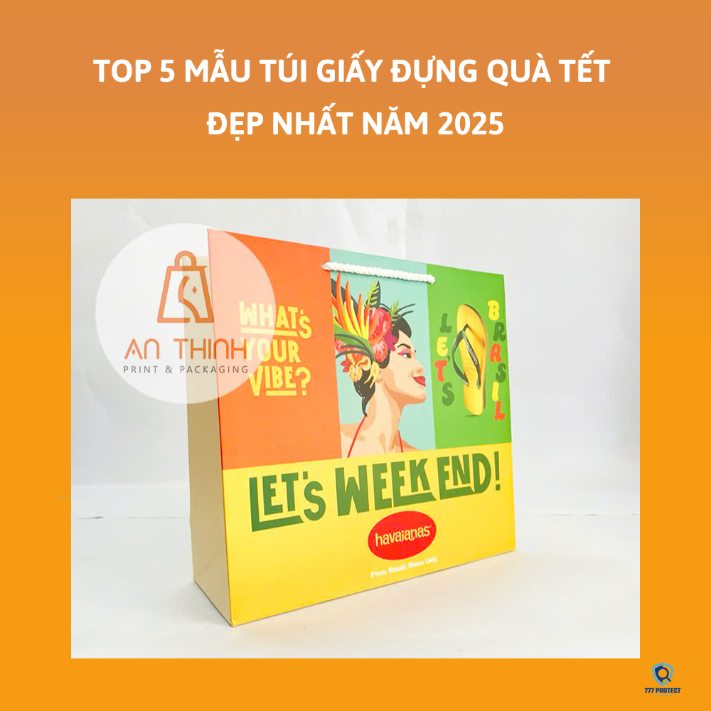 TÚI GIẤY ĐỰNG GIÀY DÉP HAVAIANAS ĐẦY SẮC MÀU