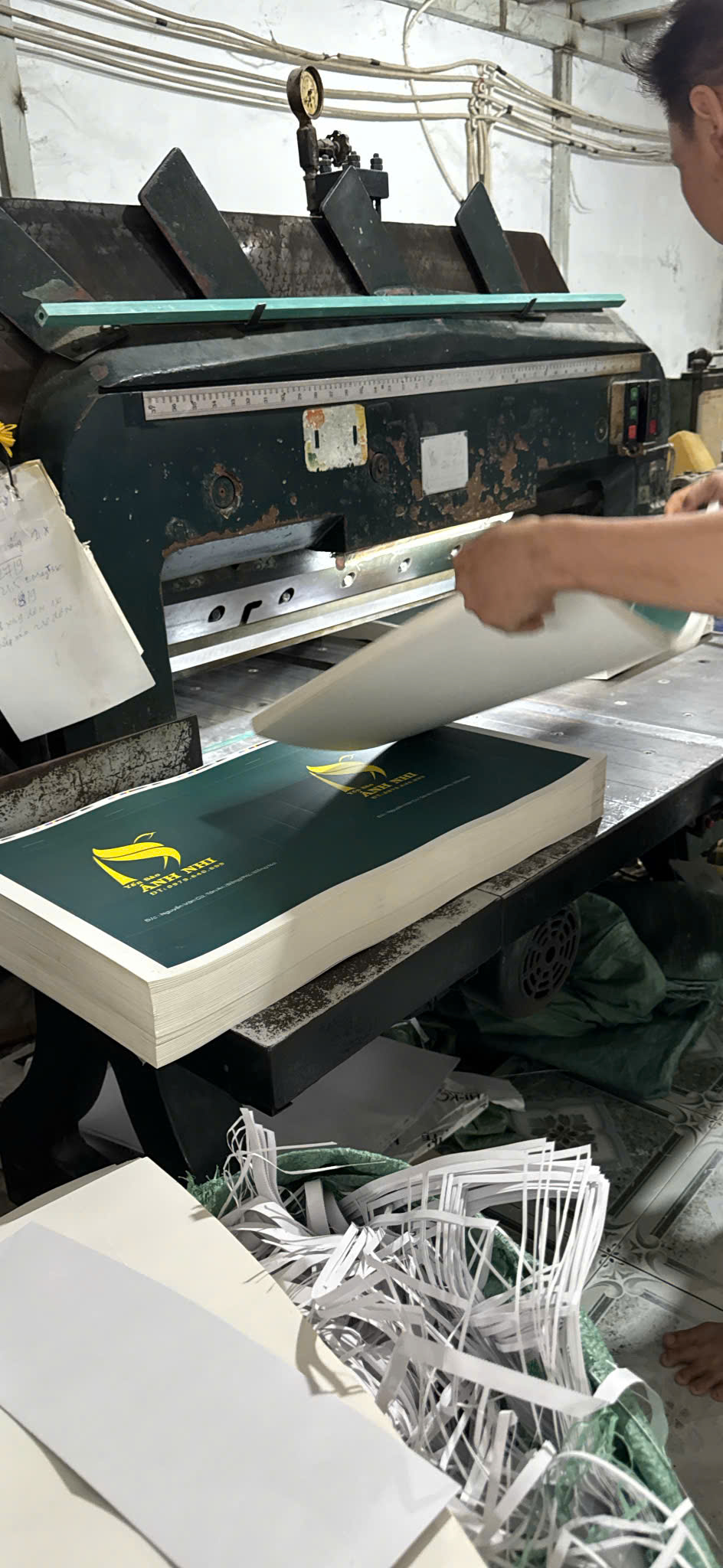in túi giấy theo yêu cầu