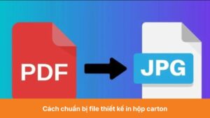 Cách chuẩn bị file thiết kế in hộp carton