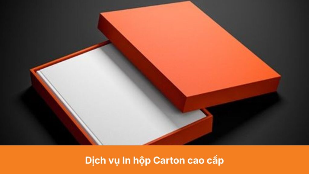 Dịch vụ In hộp Carton cao cấp
