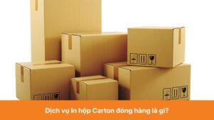 Dịch vụ In hộp Carton đóng hàng