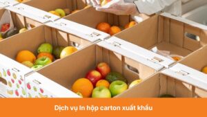 Dịch vụ In hộp carton xuất khẩu Giải pháp đóng gói tối ưu