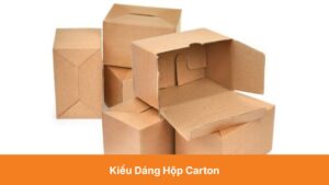 Kiểu Dáng Hộp Carton