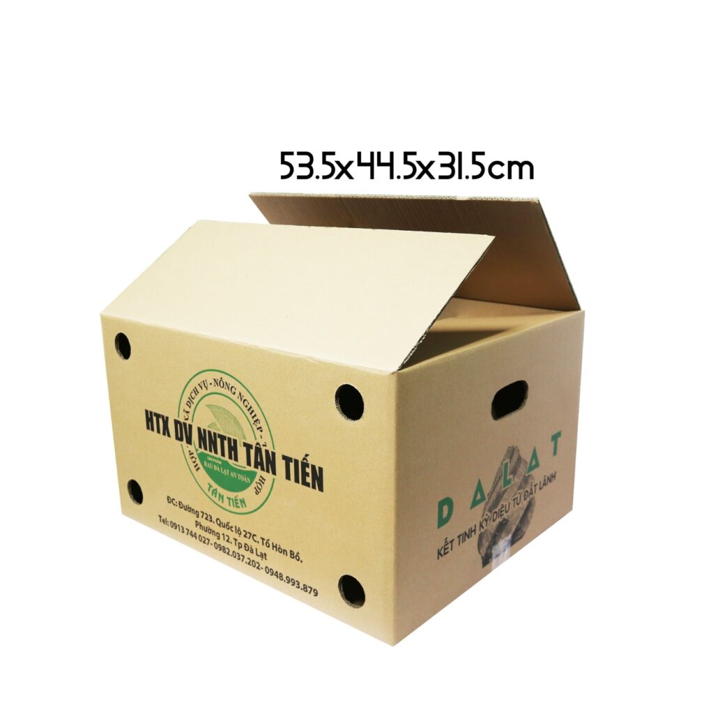 Xu hướng thiết kế hộp carton
