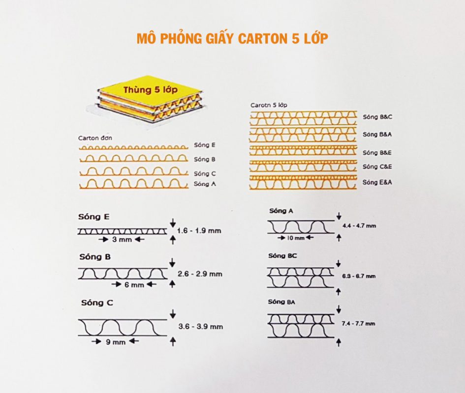 5 lớp giấy bao gồm những gì?