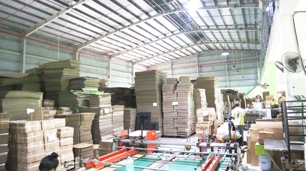 Đặt in bao bì thùng carton quận 6