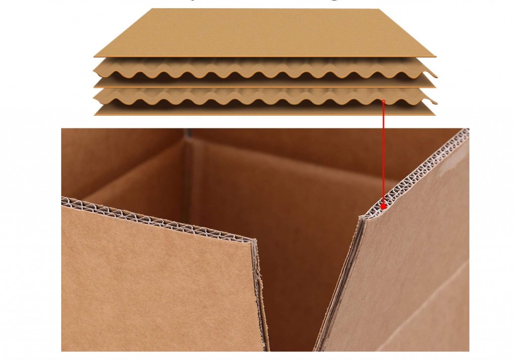 Dễ bị biến dạng