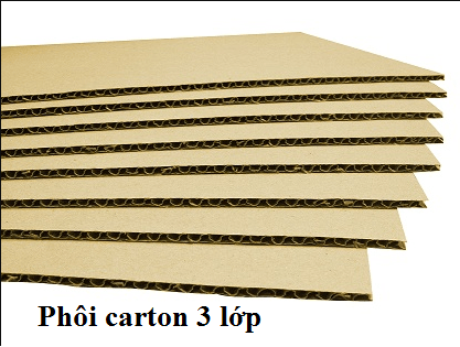 Hộp carton 3 lớp