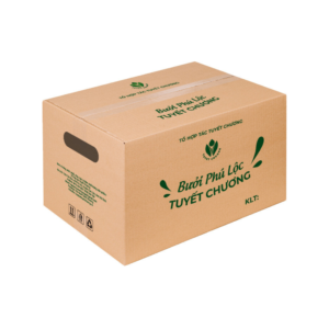 In Thùng Carton Hoa Quả