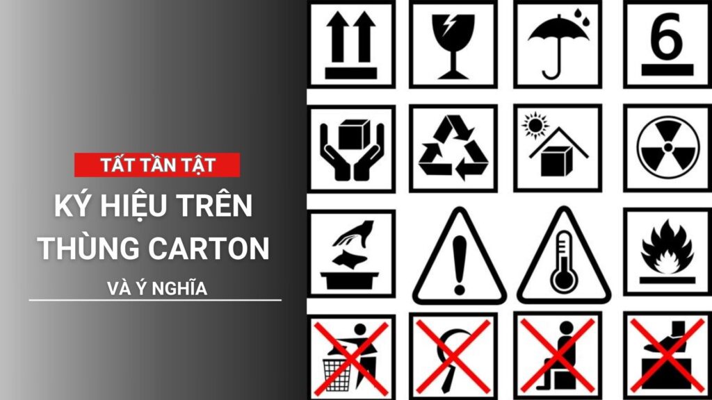 Tầm Quan Trọng Và Lợi Ích Khi Hiểu Rõ Biểu Tượng Thùng Carton
