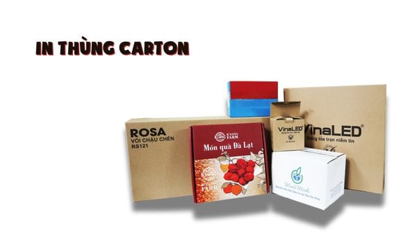 Tổng quan về hướng dẫn cách in hộp carton